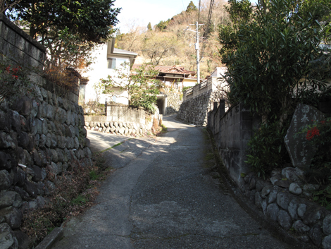 20160108hike (25)